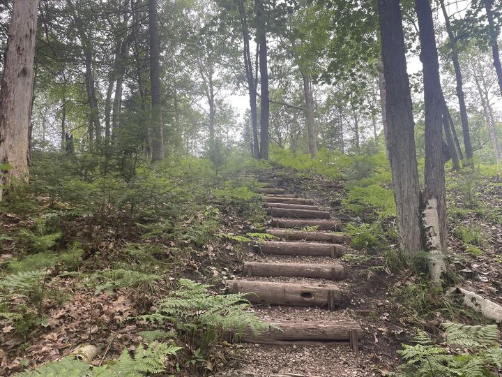 Property Photo:  5001 Big Sky Trail  MI 49749 