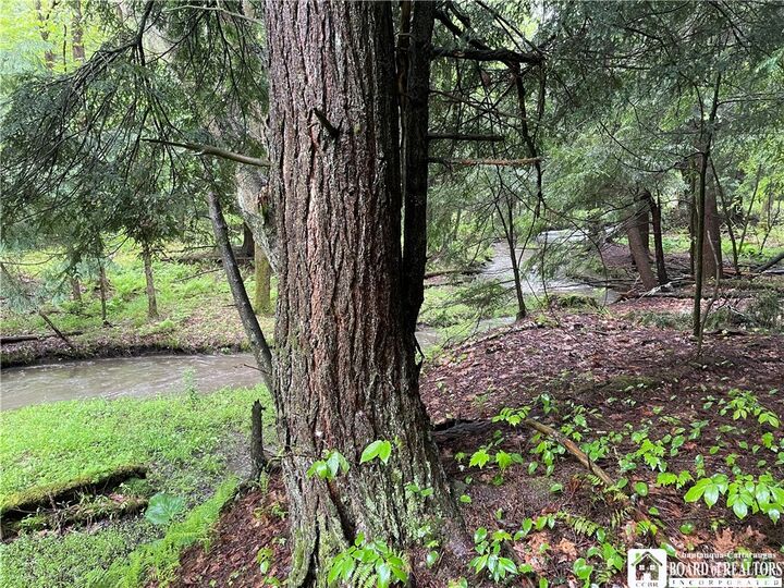 Property Photo:  0 Walker Road  NY 14712 