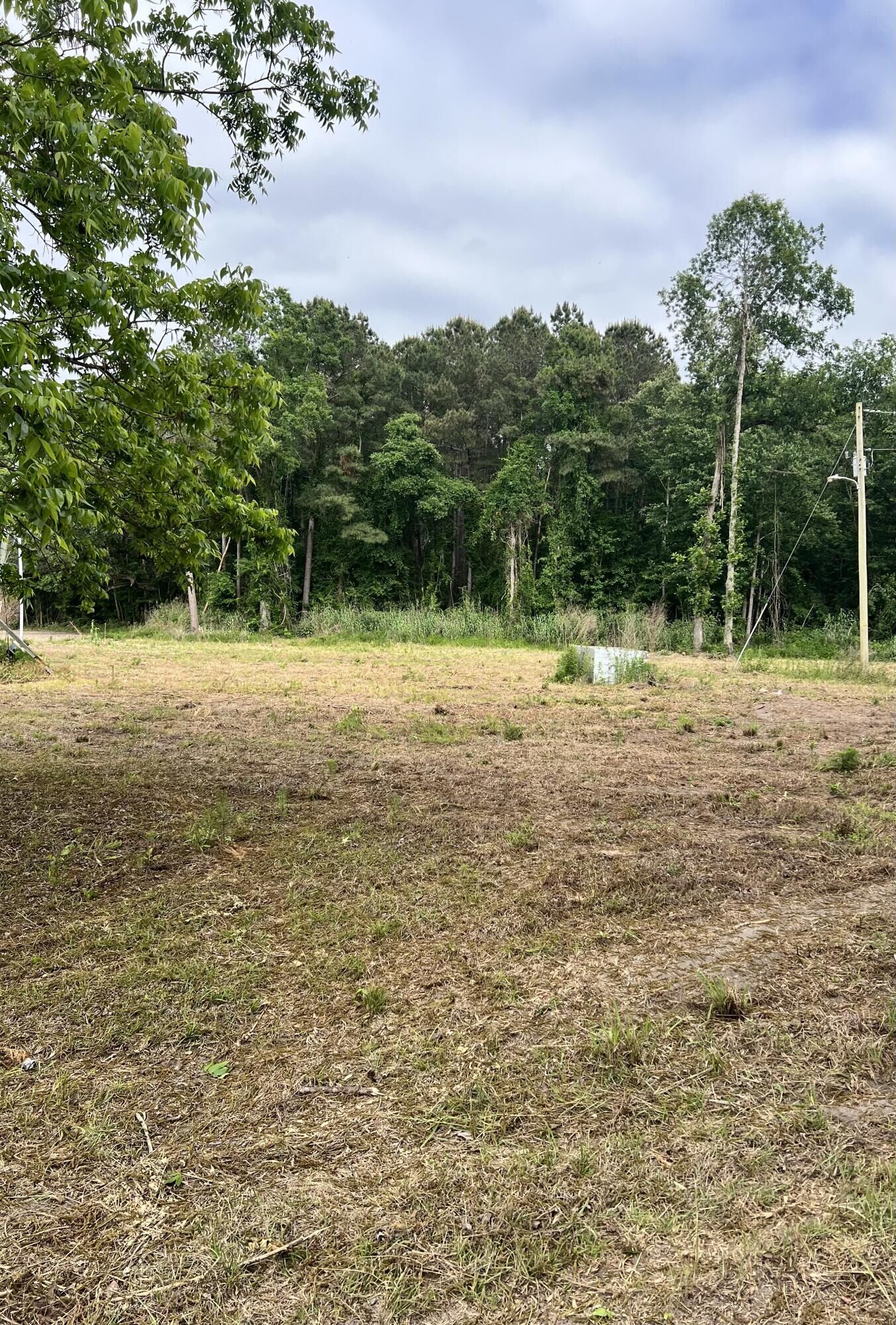 Property Photo:  193 Evergreen Lane  SC 29477 