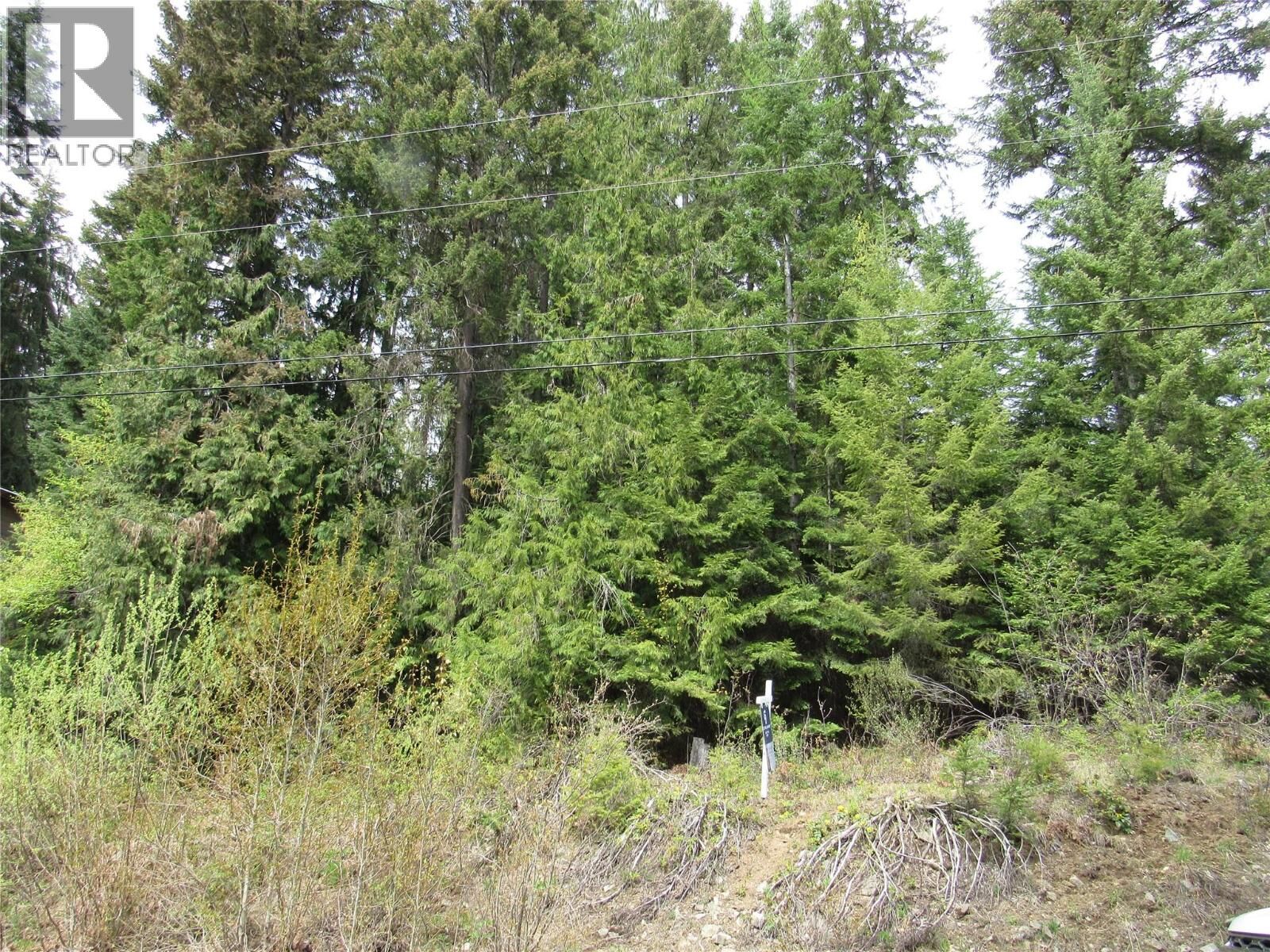 Property Photo: Lot 19 Nelson Rural 08182.190 Other BC V0G 2G3