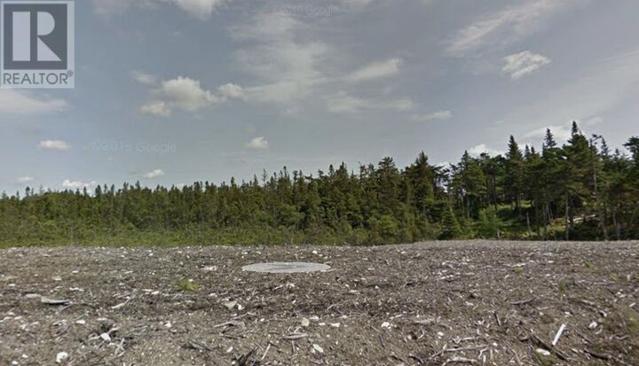 Property Photo:  159 Amber Drive  NL A0B 0C2 