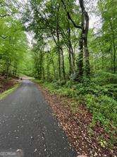 Property Photo:  410 Dogwood Drive  GA 30114 