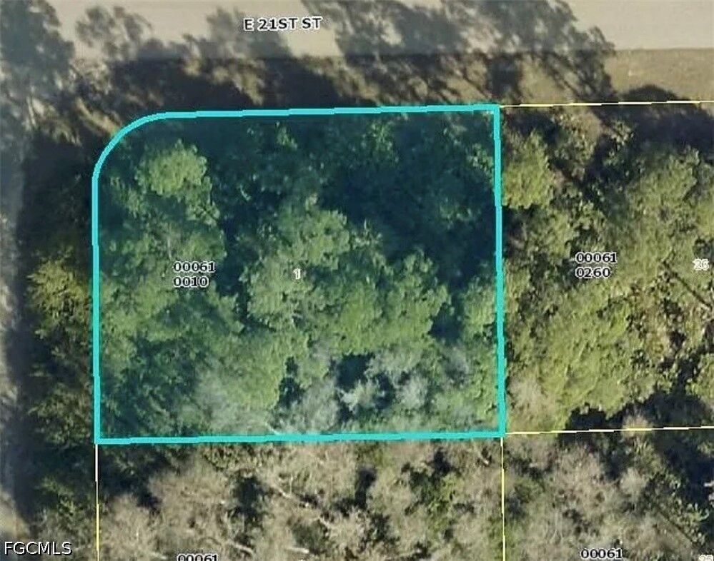Property Photo:  2024 Grayson Avenue W  FL 33920 