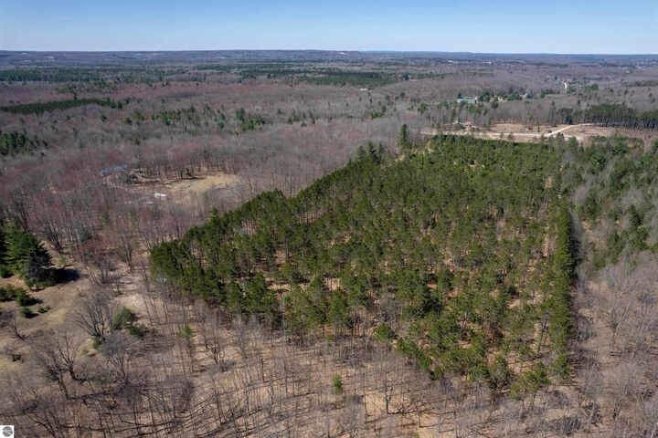 Property Photo:  Hoosier Valley Road  MI 49685 