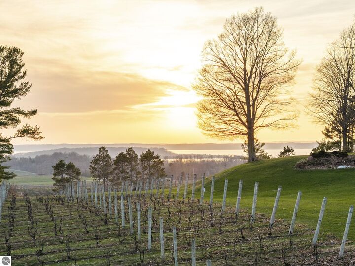 Property Photo:  2770 Nelson Road  MI 49686 