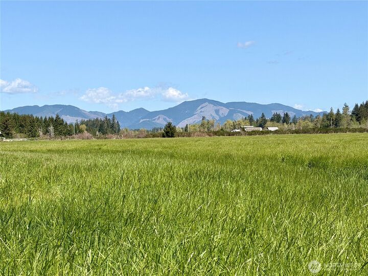 Property Photo:  0 Xxx W Forest Green Lane  WA 98541 