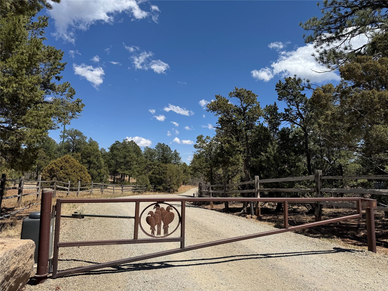 Property Photo:  17 Wild Wings Circle  NM 87552 