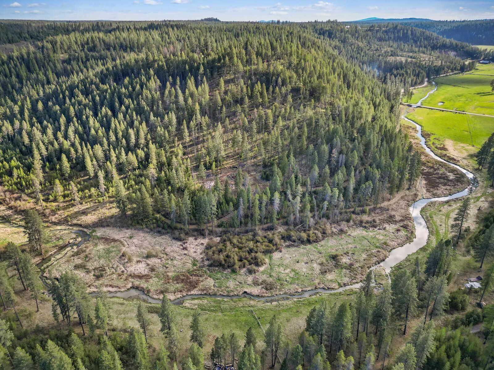 Property Photo:  Xxx Springdale Hunters Rd  WA 99173 