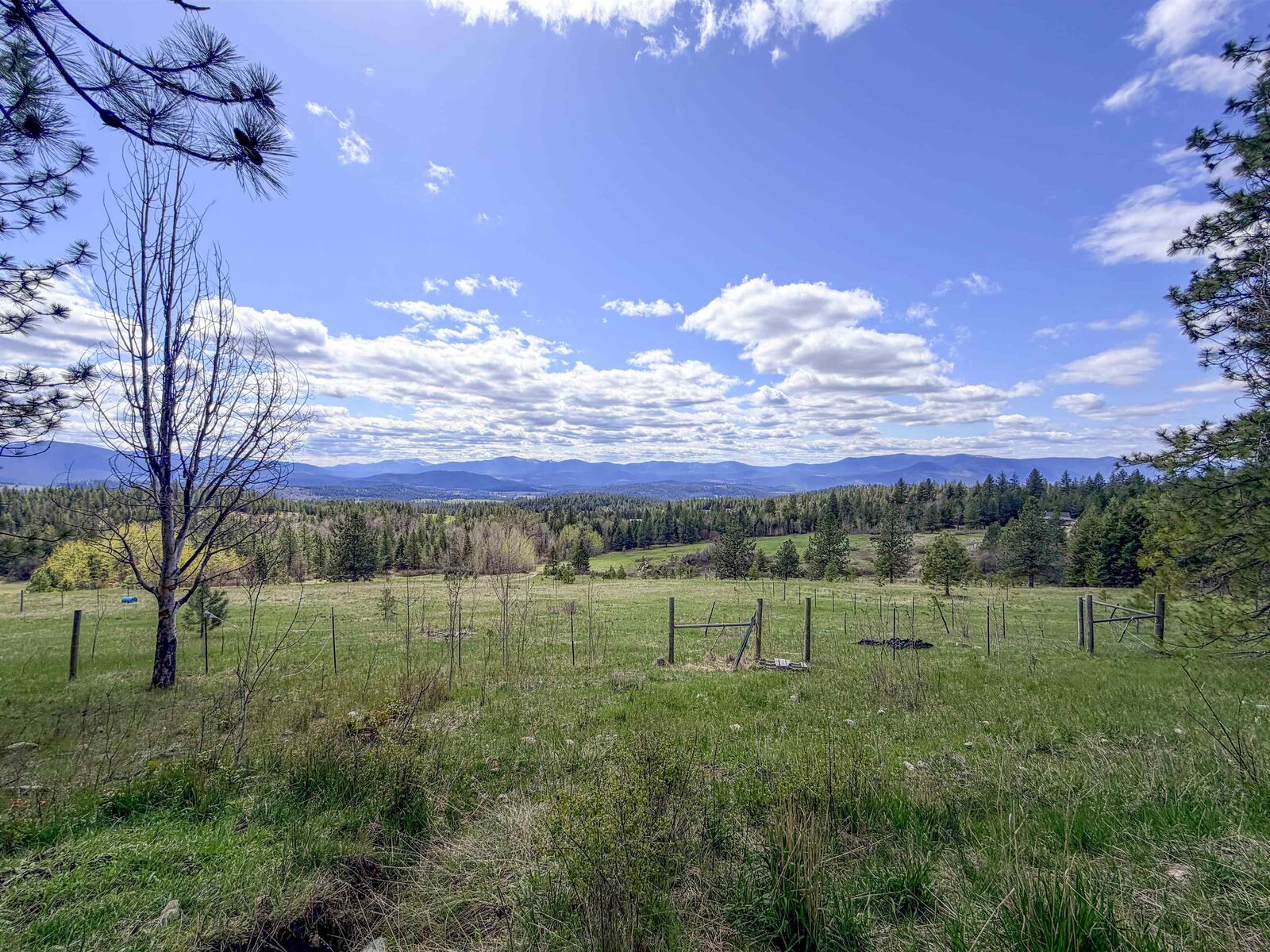 Property Photo:  829 Dominion Springs Way  WA 99114 