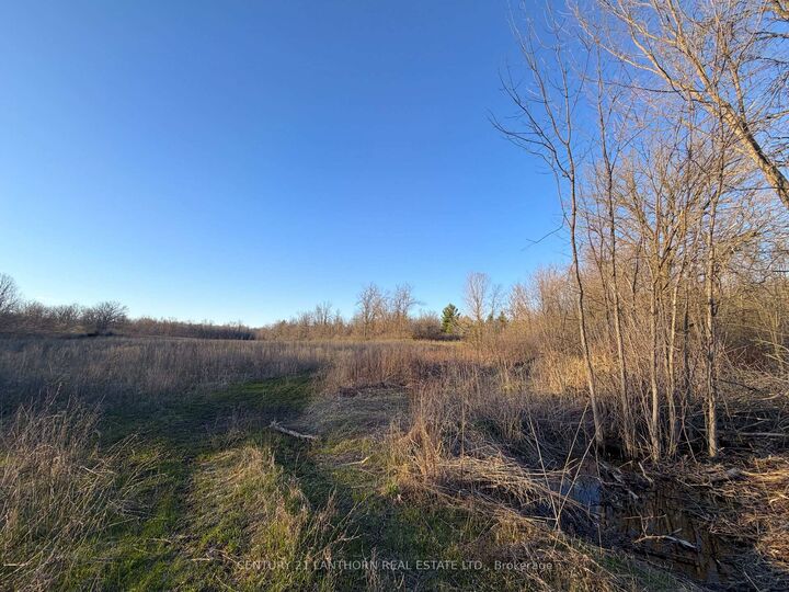 Property Photo:  0 Reid Settlement Road  ON K0K 2K0 
