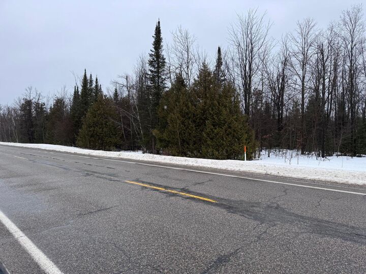 Property Photo:  10 Ac Old 27 N Highway  MI 49795 