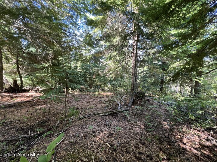 Property Photo:  520 Alpine Dr  ID 83830 