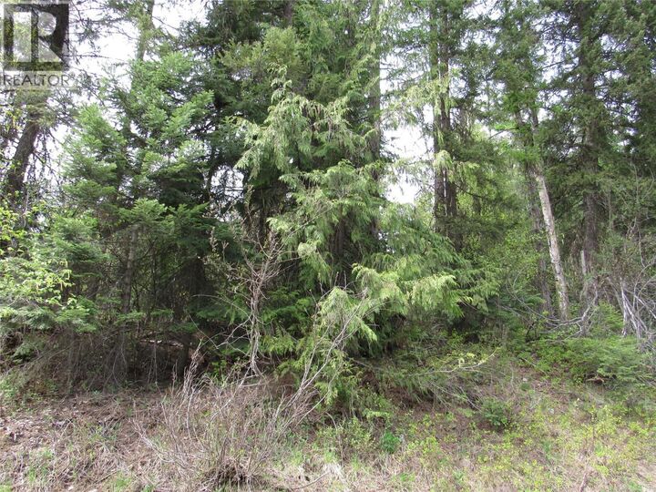 Lot 11 Nelson Rural 08182-128 Other — photo 1