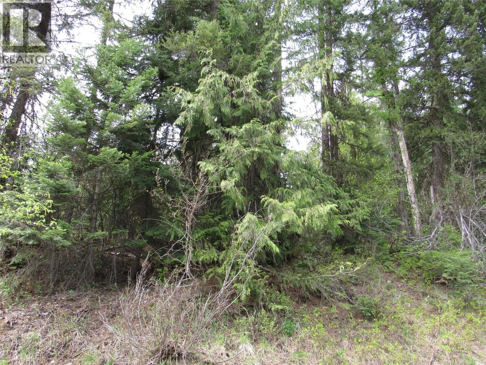 Property Photo:  Lot 11 Nelson Rural 08182-128 Other  BC V0G 2G3 