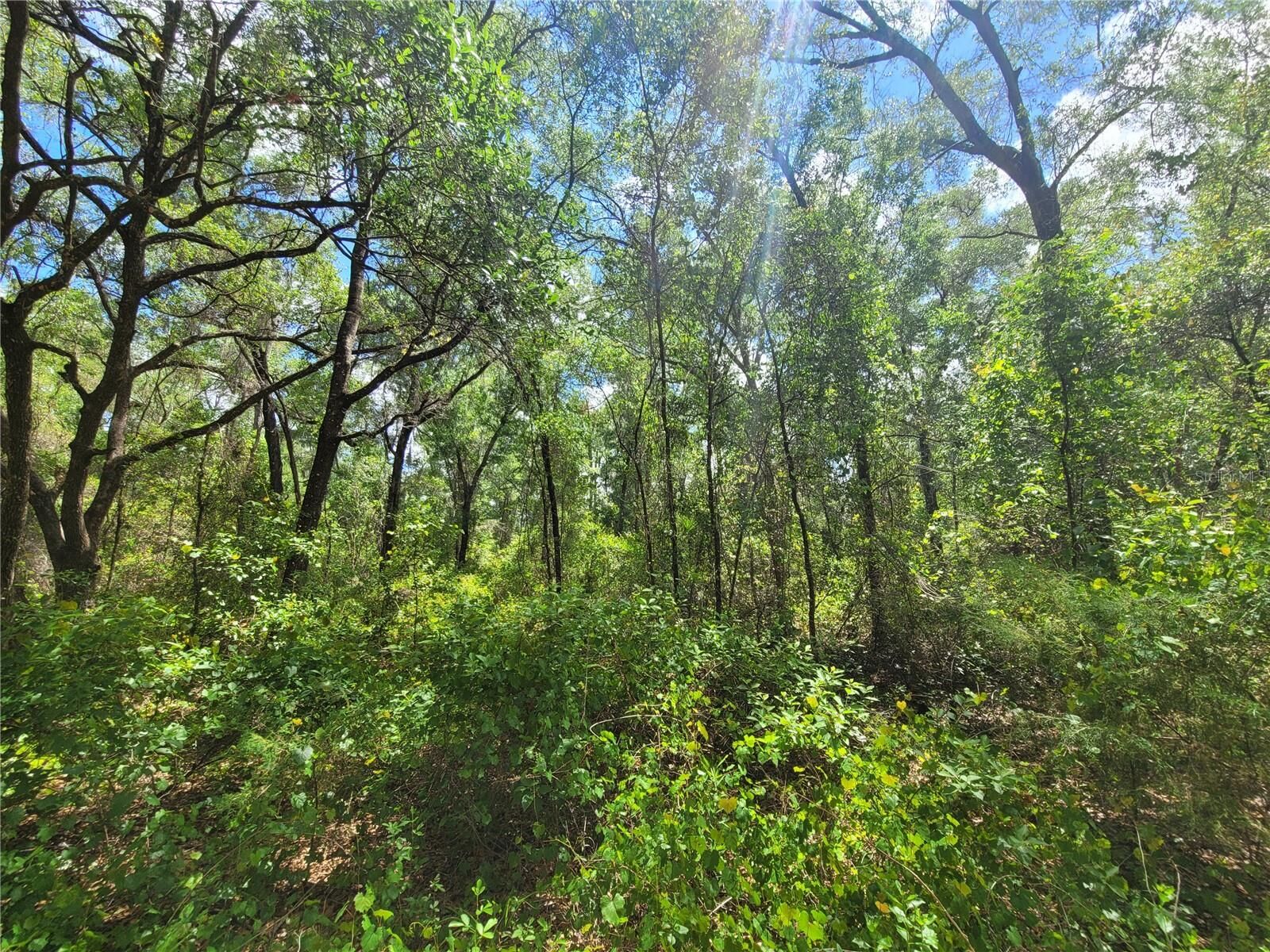 Property Photo:  912 Ferncreek Avenue  FL 34453 