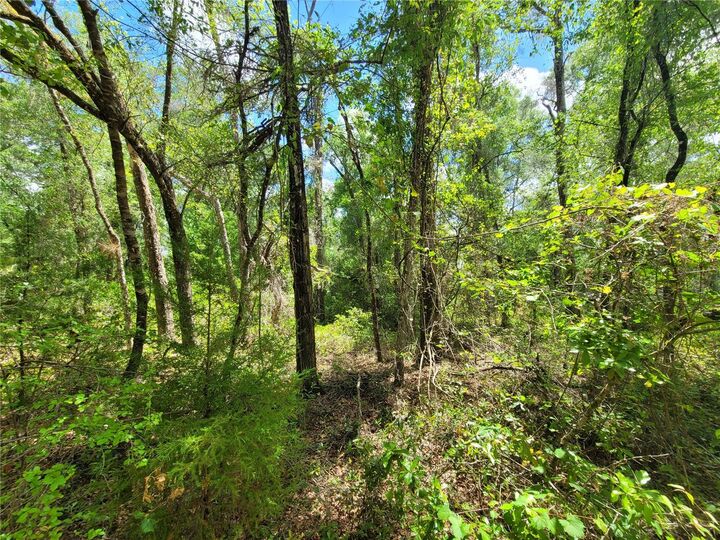 Property Photo:  910 Ferncreek Avenue  FL 34453 
