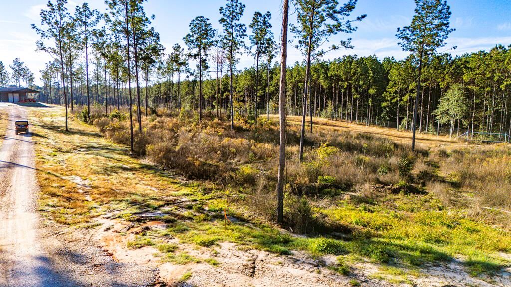 Property Photo:  Lot 2 Blackbuck Drive  TX 75960 