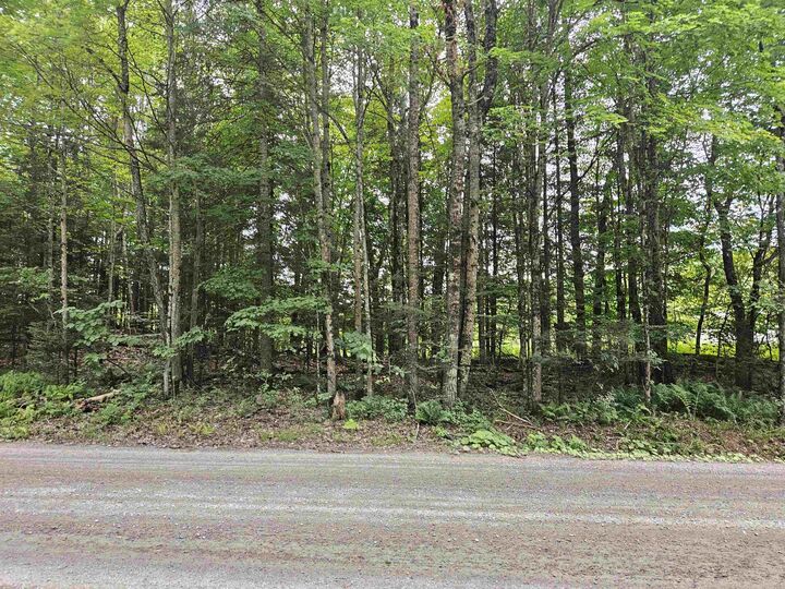 Property Photo:  413 Pettyboro Road  NH 03585 