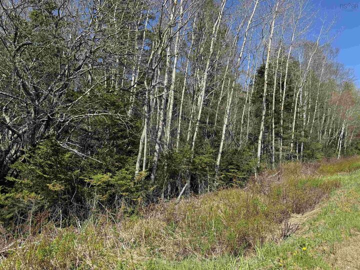 Property Photo:  Lot 4 Highway 509  NS B0L 1B0 