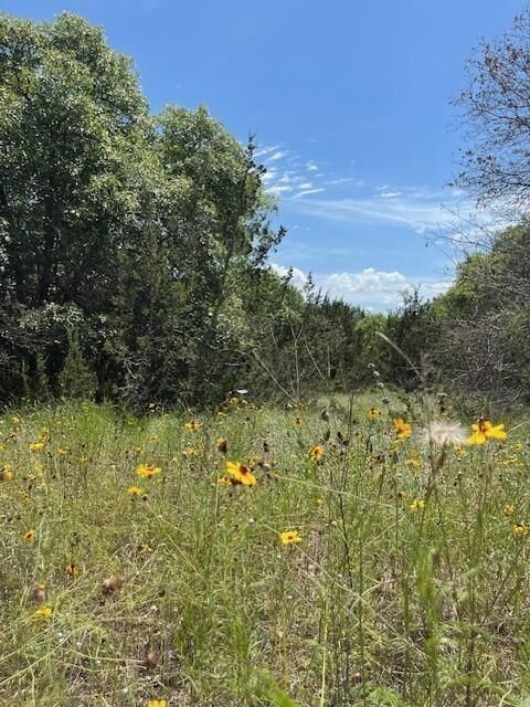 Photo de la propriété:  1015 Bluegill Ridge  TX 76433 