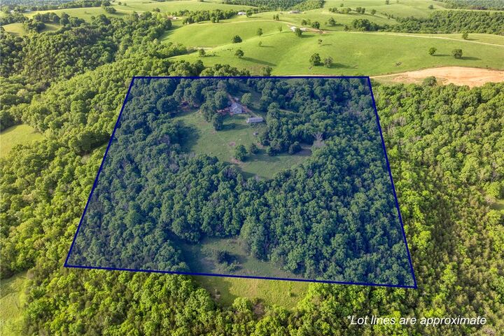 Property Photo:  345 Hope Creek Lane  AR 72601 