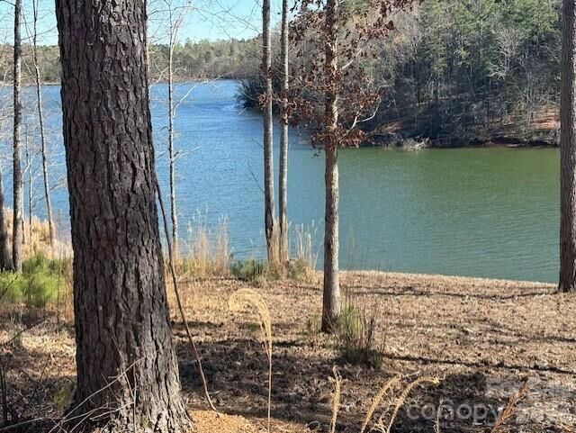 Property Photo: 3017 Mount Harvard Court 71 NC 28612