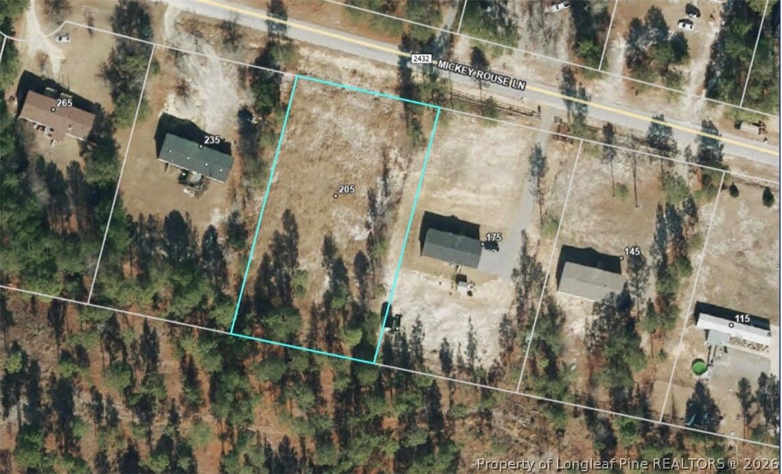 Property Photo:  205 Mickey Rouse Lane  NC 28326 