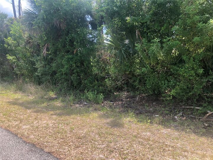 Property Photo:  Dandurand Avenue  FL 34291 