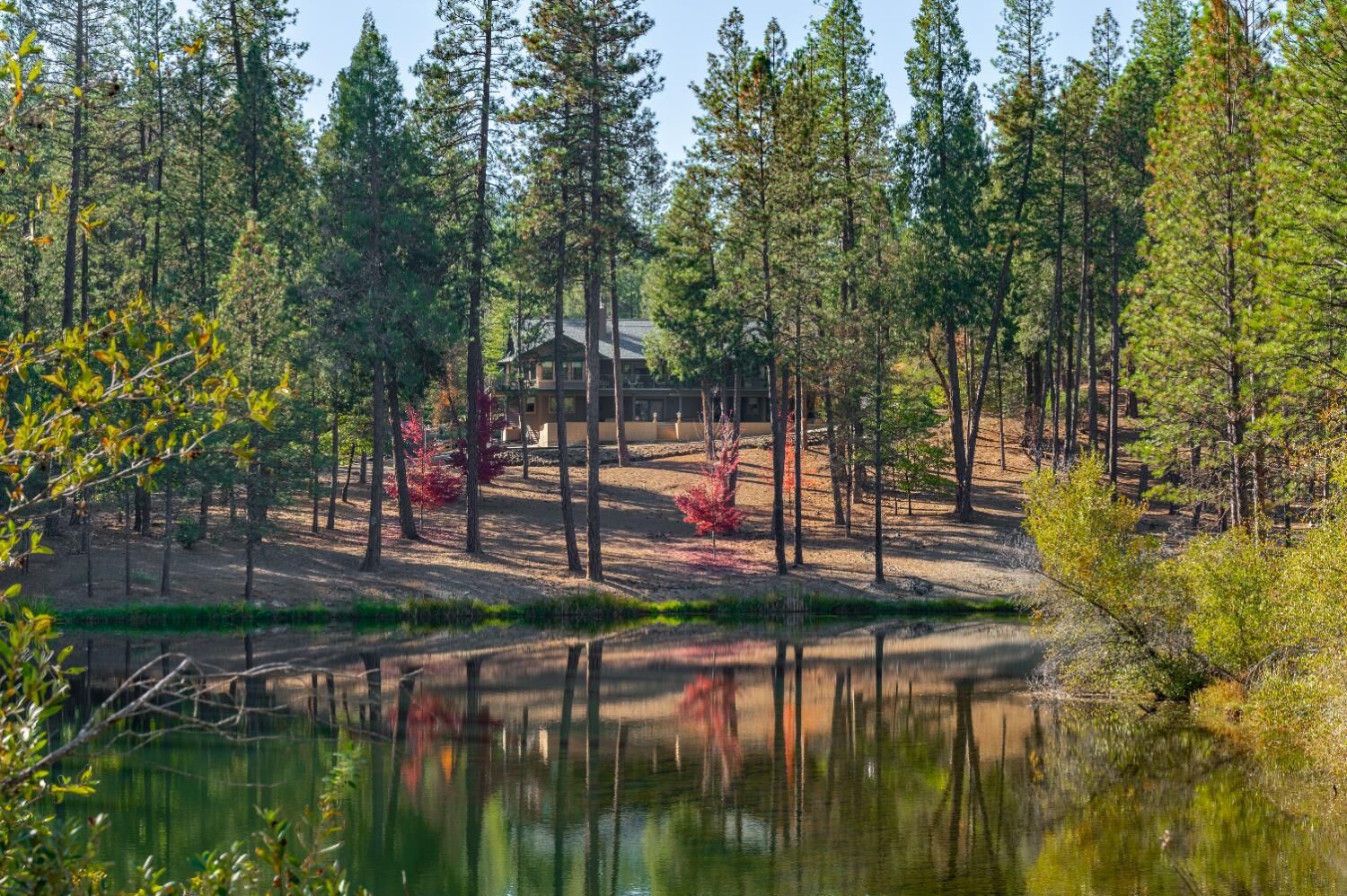 Property Photo:  11790 Lowhills Road  CA 95959 