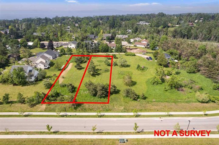 Property Photo:  Atkins Rd. Parcel Aa  MI 49770 