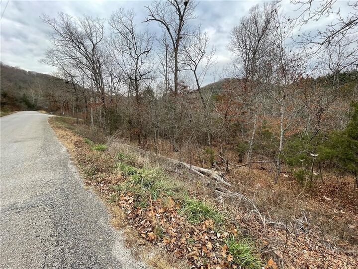 Property Photo:  88 Valley Drive  AR 72631 