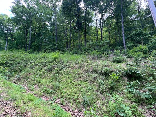 Property Photo: 6 Wildcat Drive AR 72631
