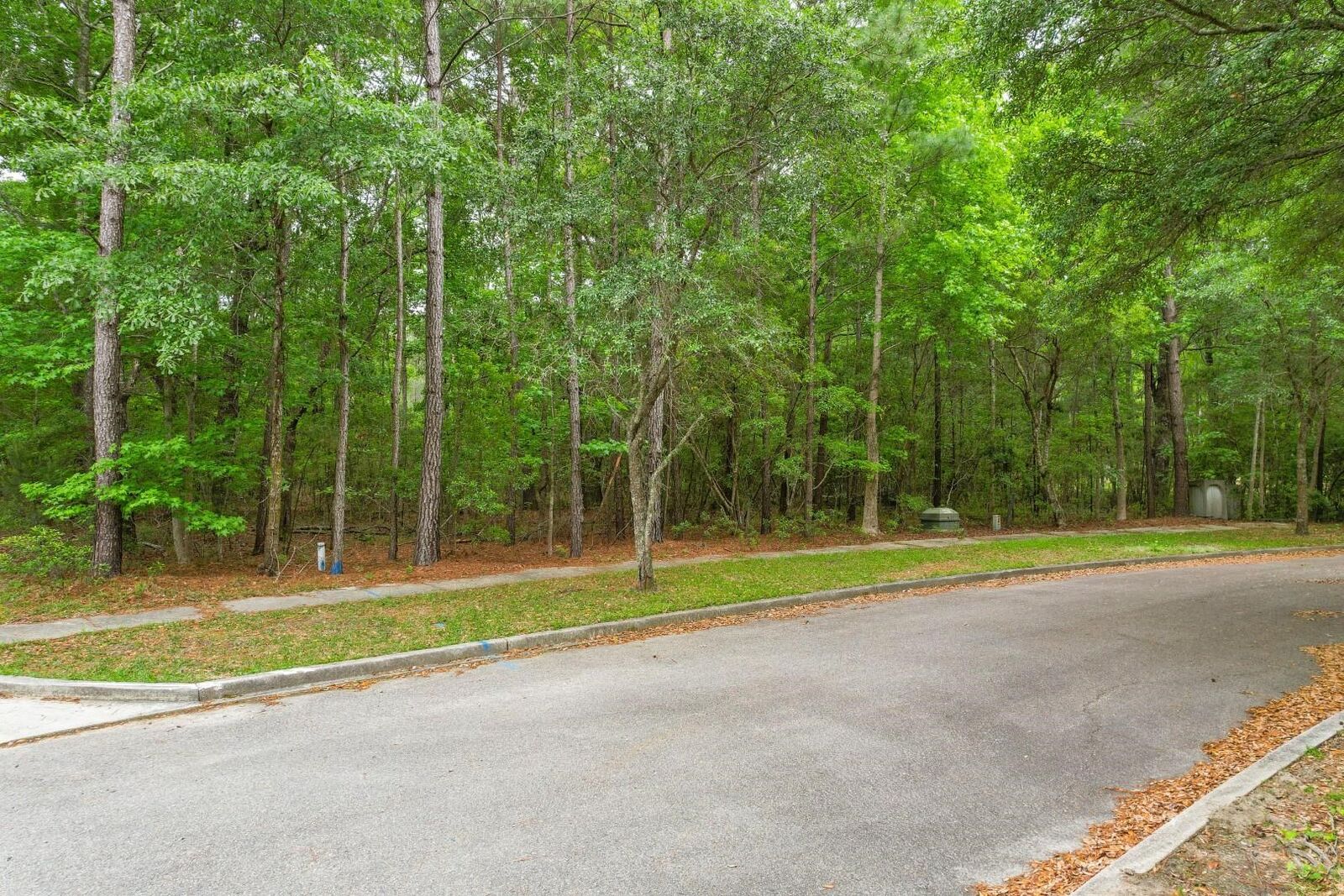 Property Photo:  153 Duany Dr.  SC 29440 