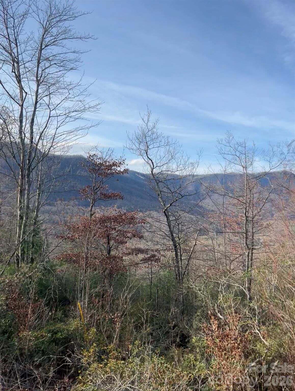 Property Photo:  Lot 51B Wilderness Drive  NC 28752 