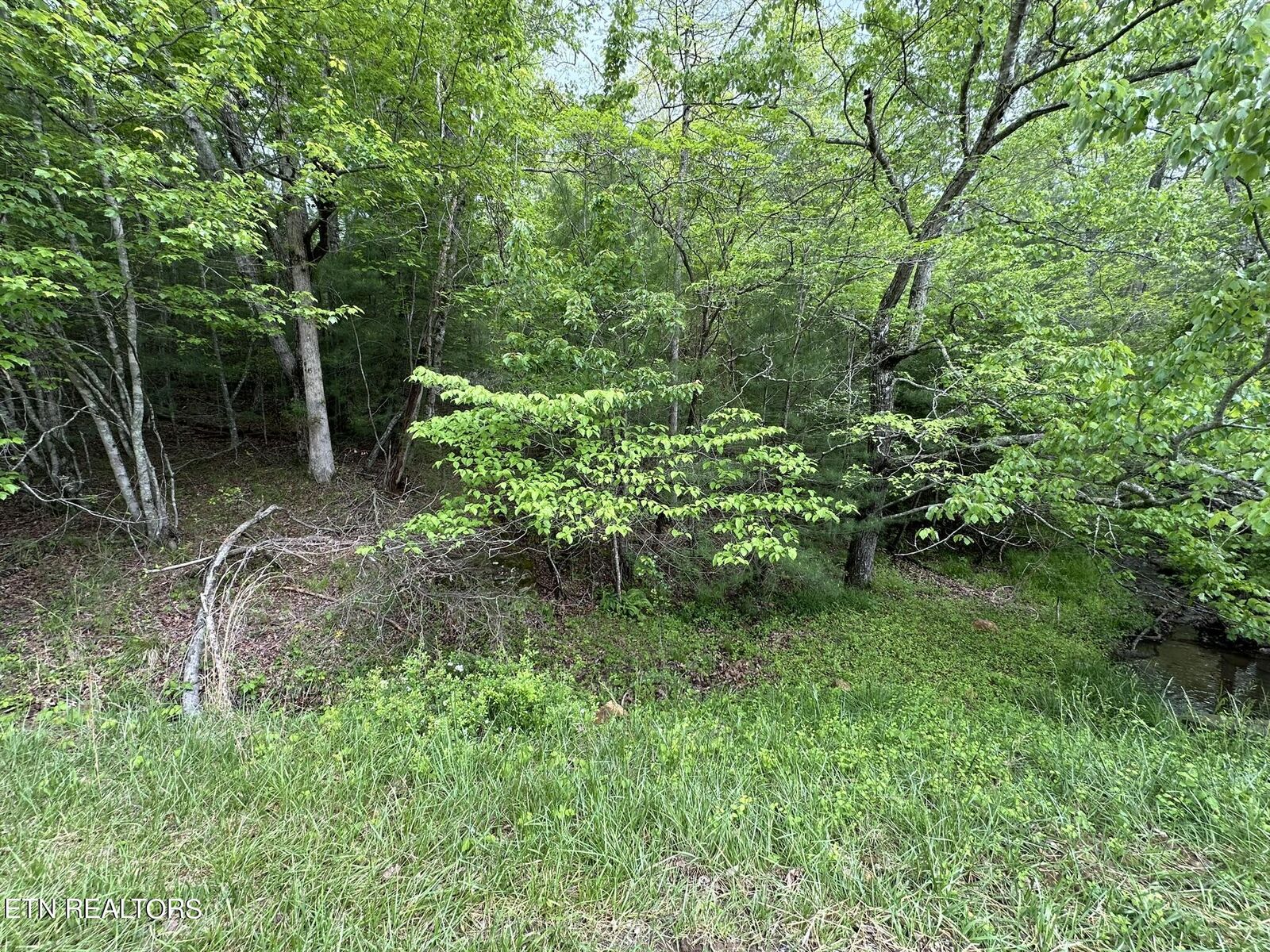 Property Photo:  110 & 112 Forest Hill Drive  TN 38558 