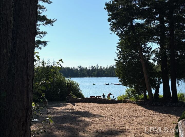 Property Photo: 505 E Bass Woods Lane MI 49841