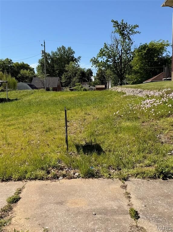Property Photo: 1221 Cousin Street MO 63701