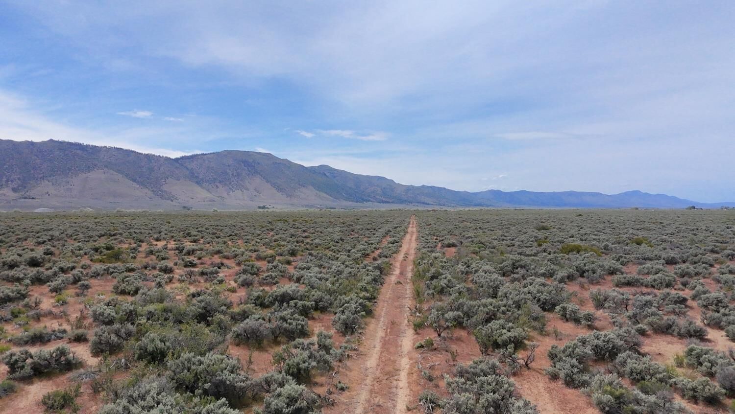 Property Photo:  446 Honey Lake  CA 96113 