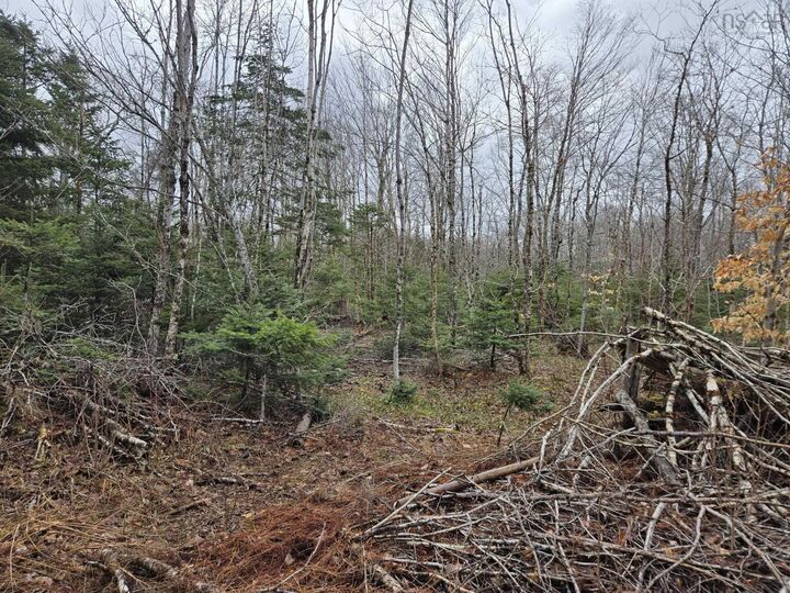 Property Photo:  Lot 4A Kemptown Road  NS B6L 2J1 