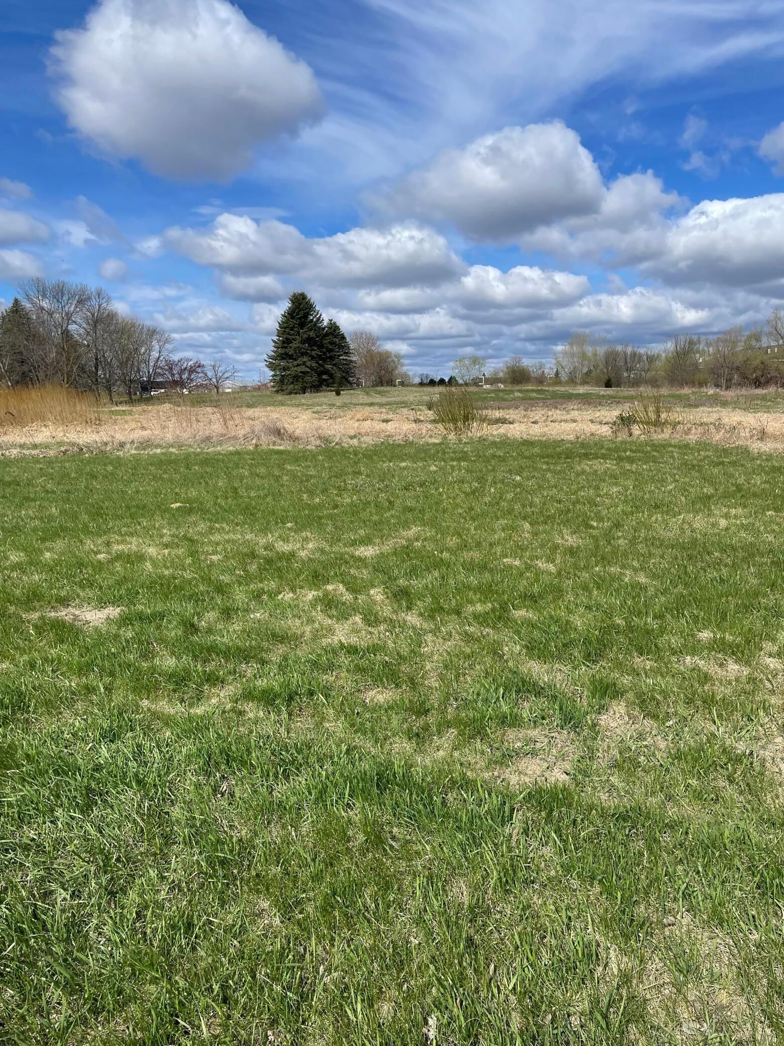 Property Photo:  2309 S Broadway Street  MN 56308 