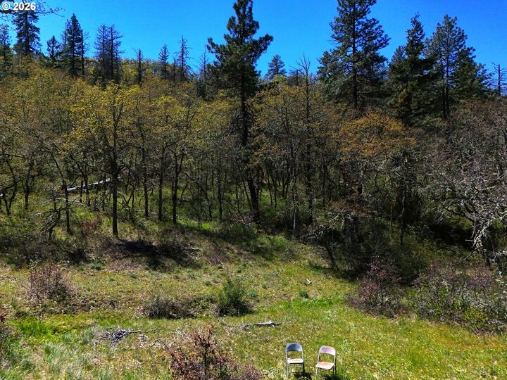 Property Photo:  Kestrel Rd  WA 98635 