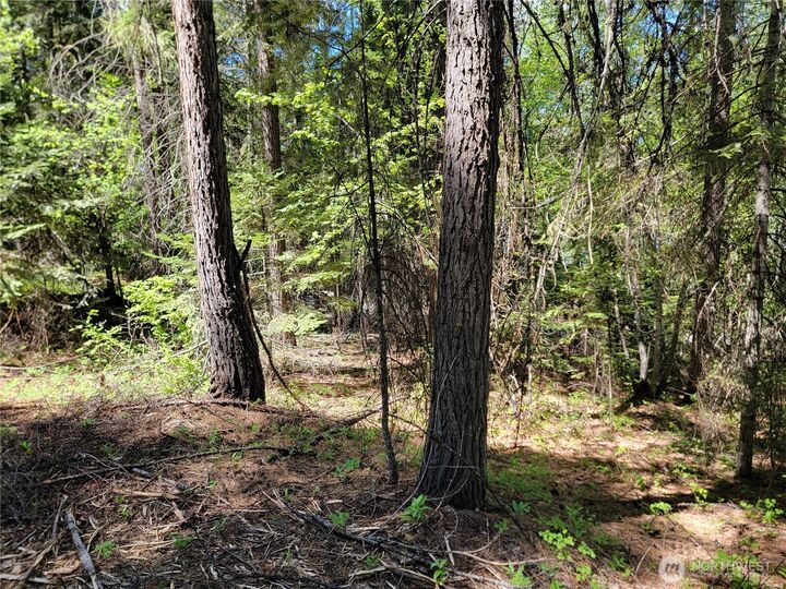 Property Photo:  263  Twin Lakes Road  WA 99138 