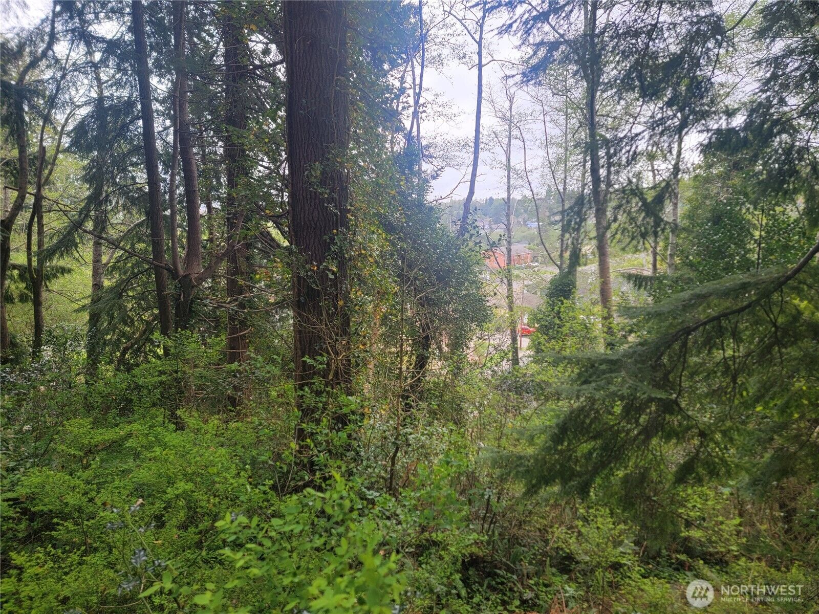 Property Photo:  1600  Laura Street  WA 98520 