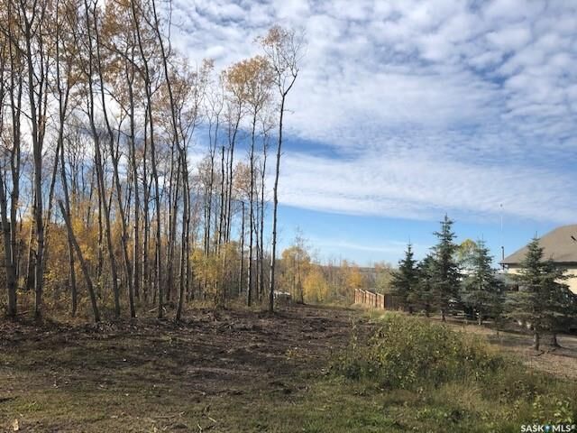 Property Photo:  520 Diamond Willow Drive  SK S0M 1A0 