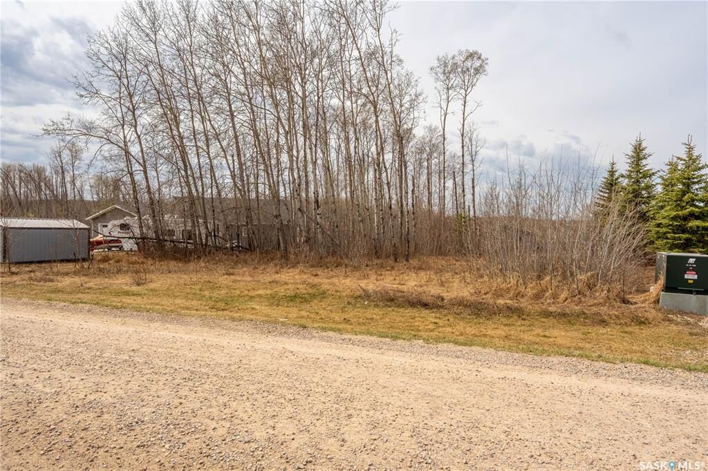 Property Photo:  520 Diamond Willow Drive  SK S0M 1A0 