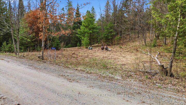 1860 North Road — photo 1