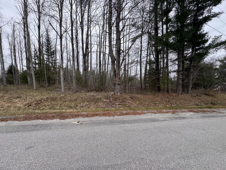 Property Photo:  6809 Needles Road  MI 49749 