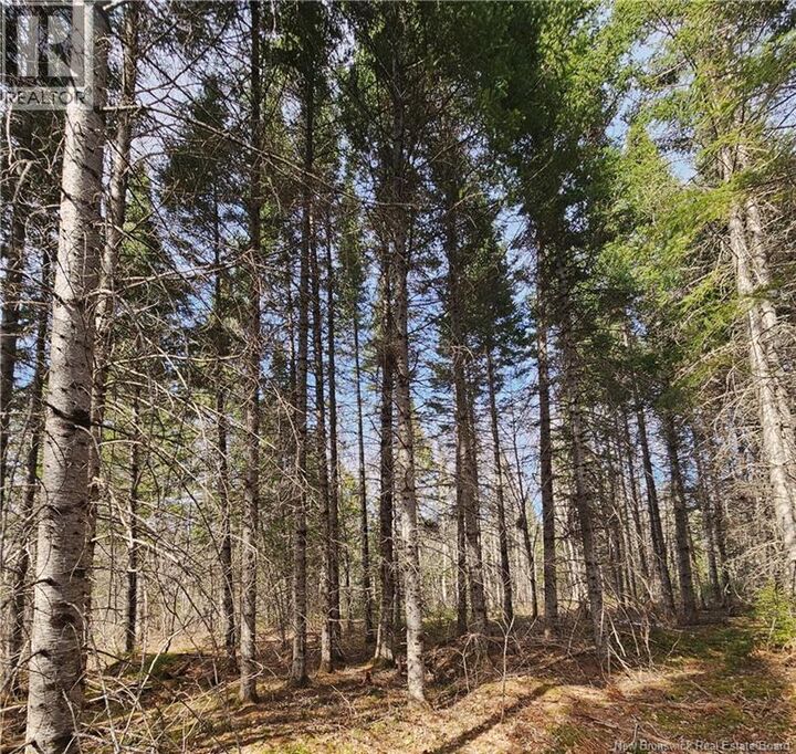 Property Photo:  00 Route 118  NB E9E 2G8 