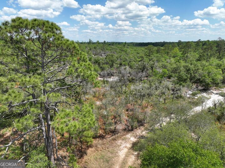 Property Photo:  8 Old Highway 46   (24.84 Ac)  GA 30471 