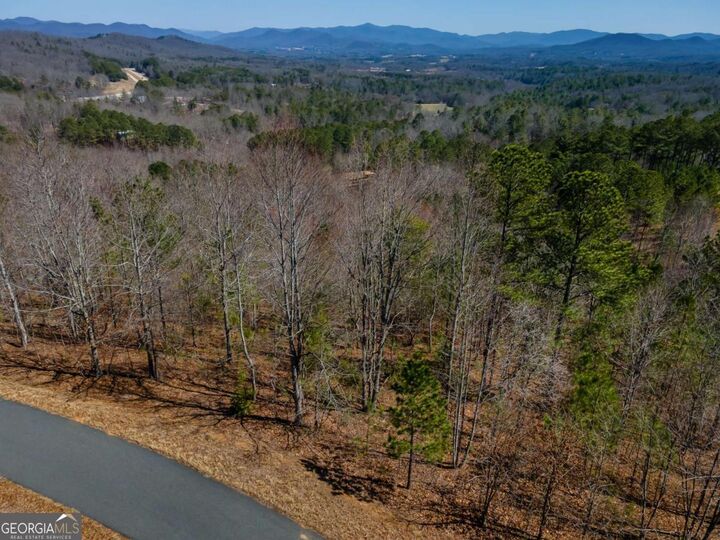 Property Photo:  Lot 39 The Hills At Queens Gap  GA 30512 